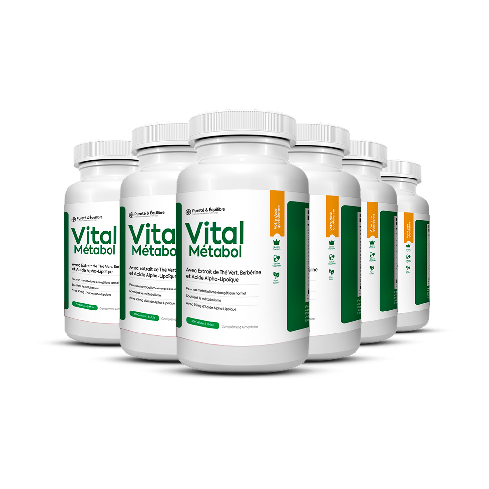6 Vital Métabol